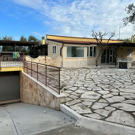 Ulivo טרני