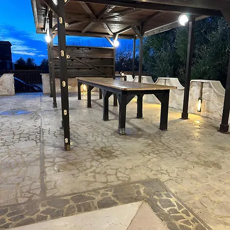 Ulivo * טרני