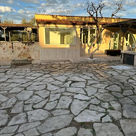 Ulivo טרני