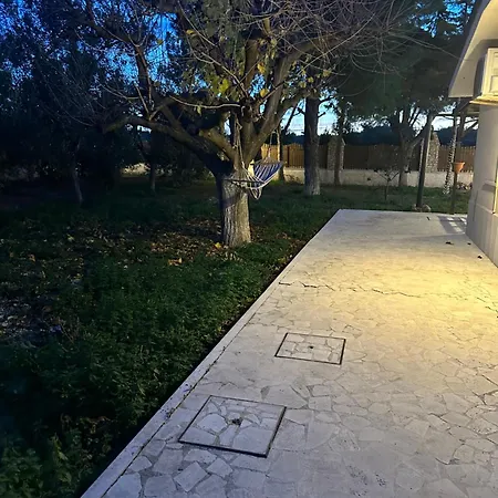 Ulivo