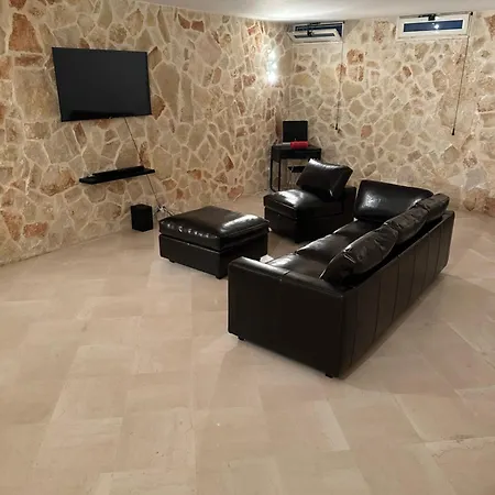 Ulivo * טרני